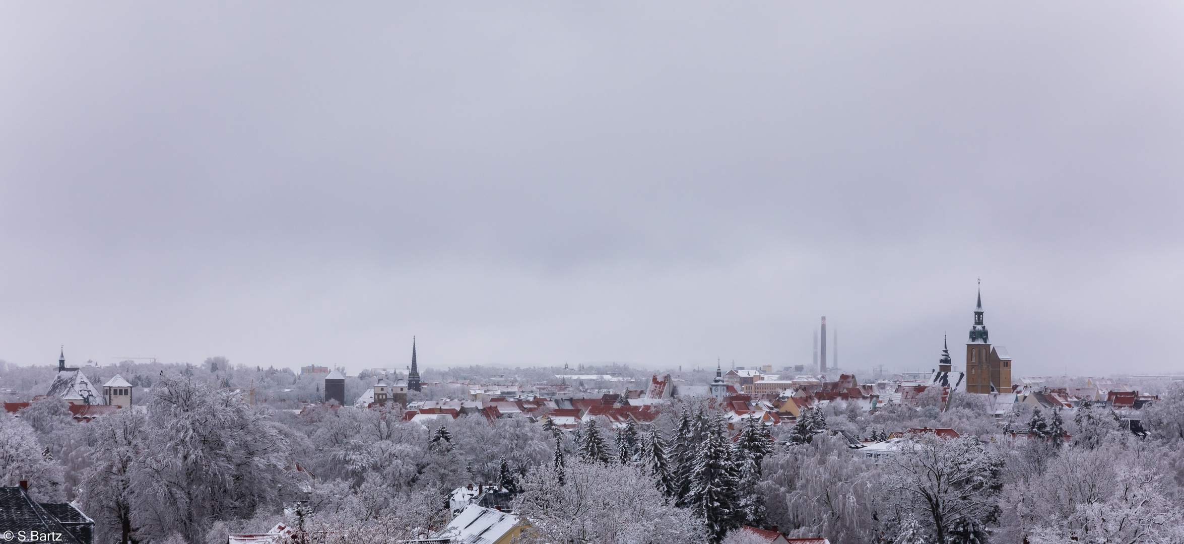 Im Winterkleid (3)