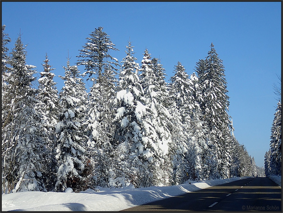 Im Winterkleid...