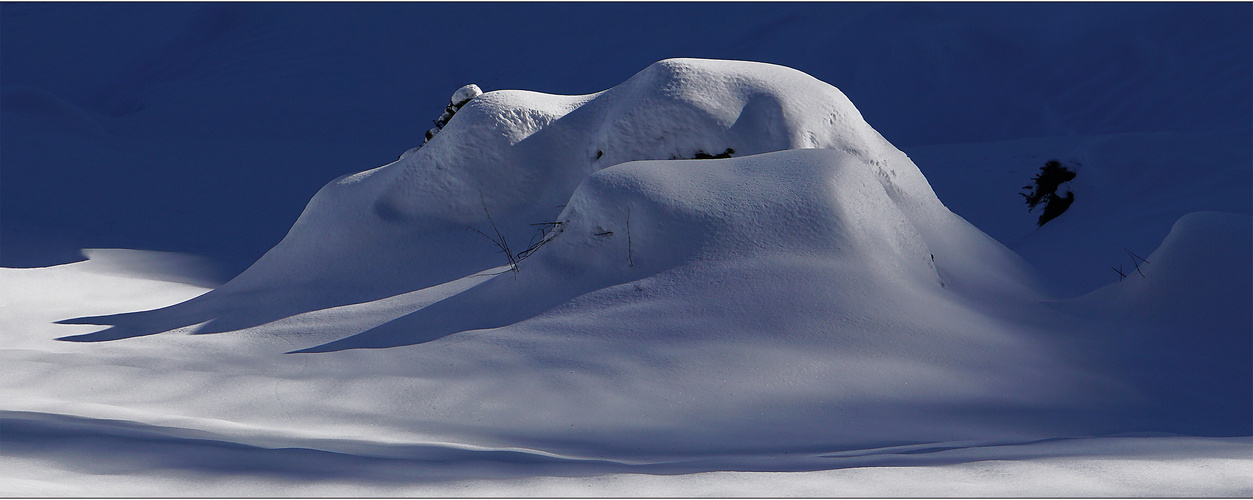 Im Winterkleid ...