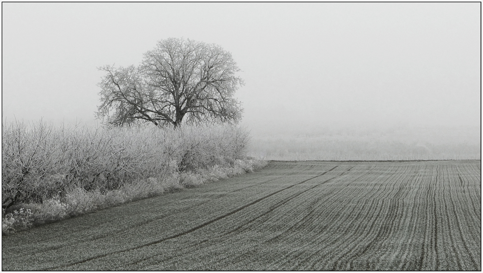 Im Winterkleid