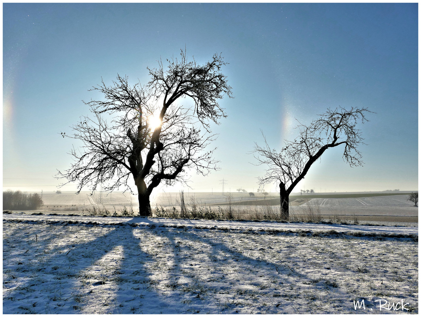 Im winterlichen Gegenlicht !