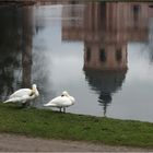 Im winterlichen Schlosspark