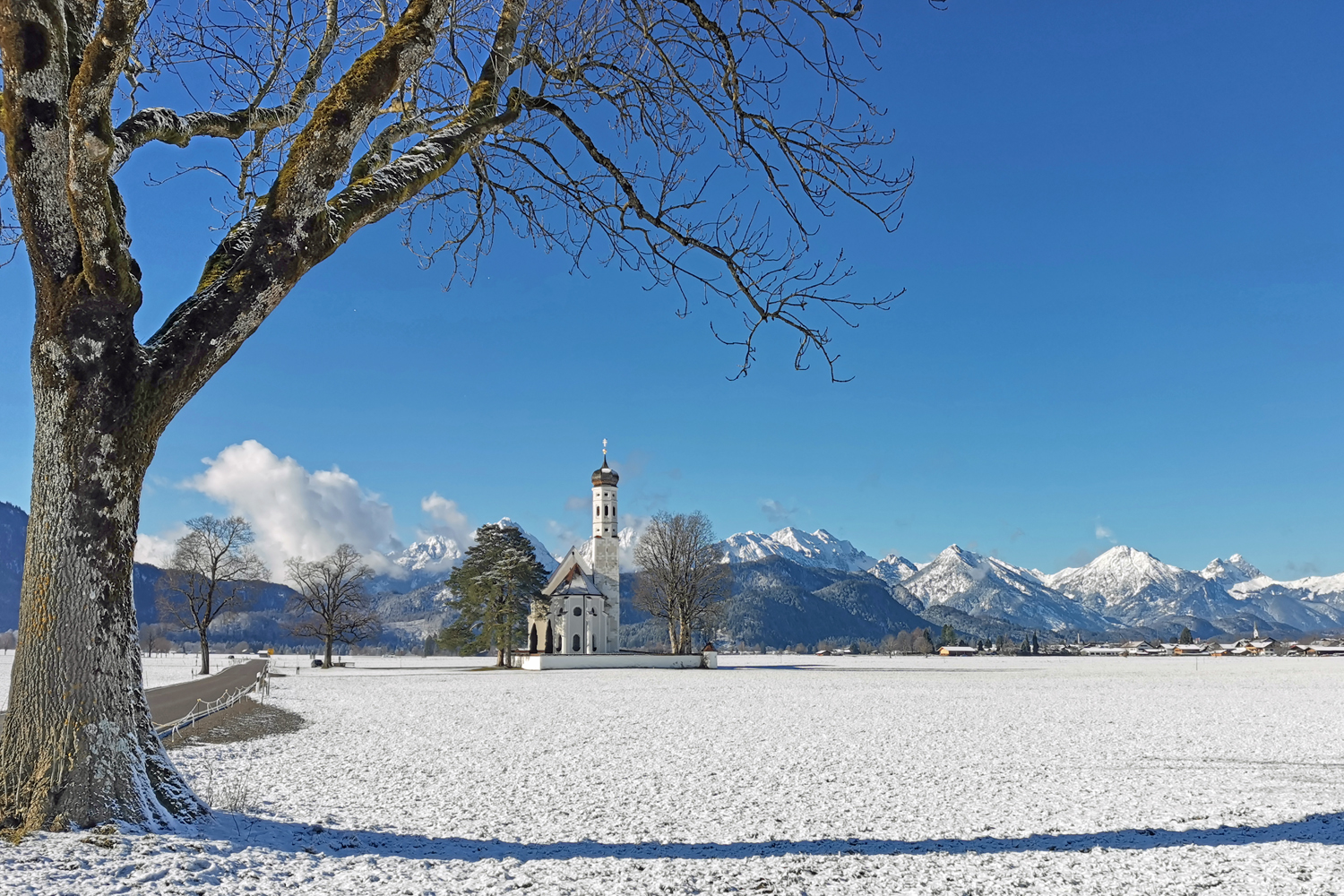 Im winterlichen Sonnenglanz!