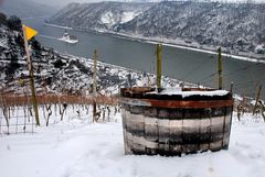 Im winterlichen Weinberg