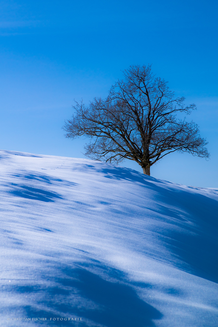 im Winterschlaf