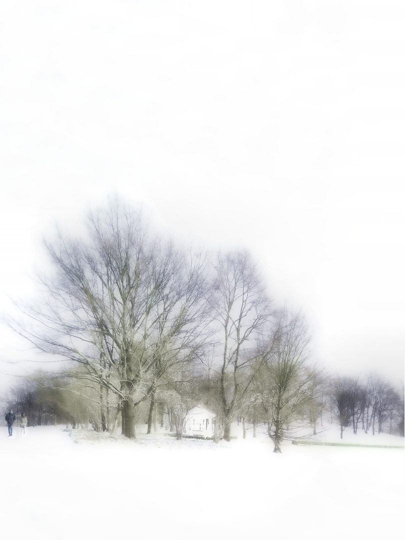 Im Wintertraumland unterwegs... Foto & Bild landschaft, garten