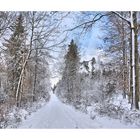 im Winterwald-4-