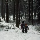 im Winterwald