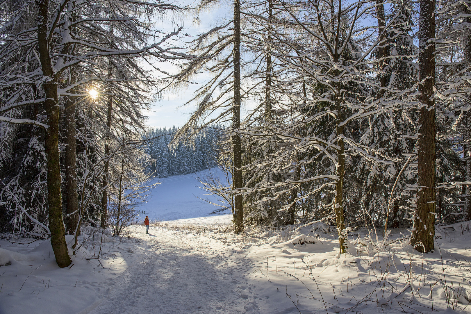 Im Winterwald auf der Hochrhön (2)