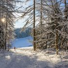 Im Winterwald auf der Hochrhön (2)