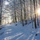 Im Winterwald auf der Hochrhön