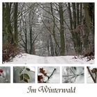 Im Winterwald