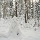 Im Winterwald der Schneephantome