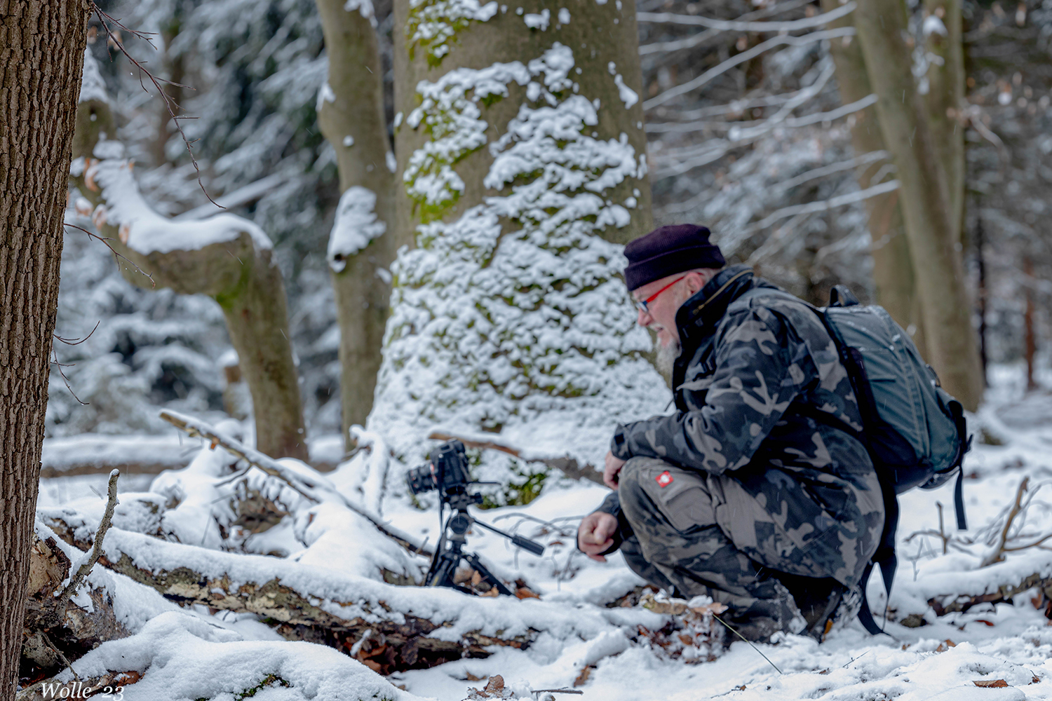 Im Winterwald