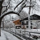 Im Winterwunderland (2)