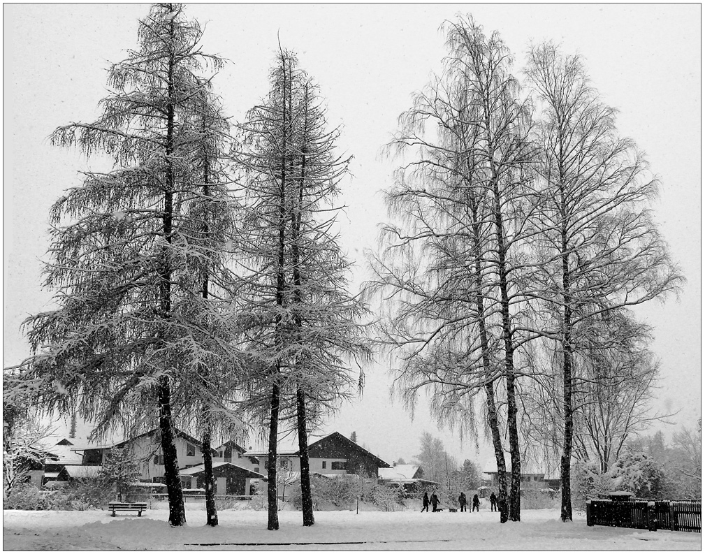 Im Winterwunderland (4)