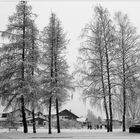 Im Winterwunderland (4)