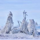 Im Winterwunderland Erzgebirge