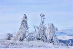 Im Winterwunderland Erzgebirge