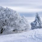 Im Winterwunderland Erzgebirge