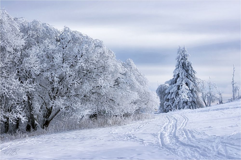 Im Winterwunderland Erzgebirge
