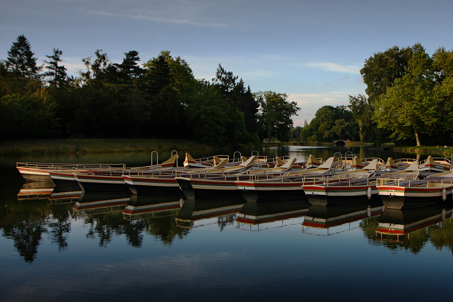 Im Wörlitzer Park