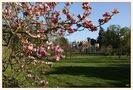 Im Wörlitzer Park 6 von Margit -die Bildermacherin