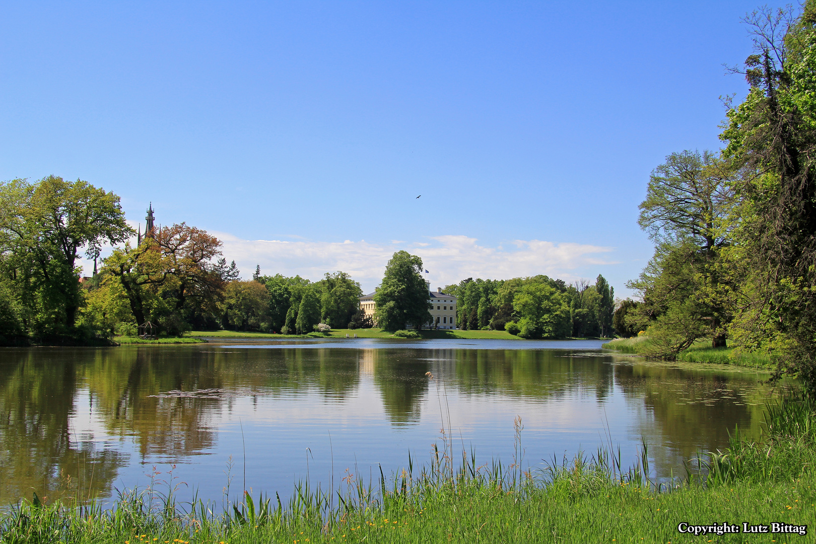 Im Wörlitzer Park