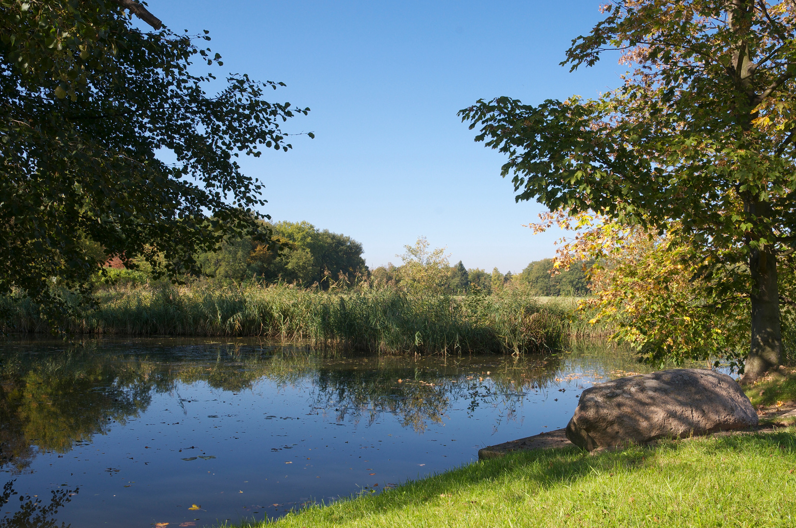 Im Wörlitzer Park