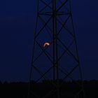 Im Wolfsland geht der Mond auf.