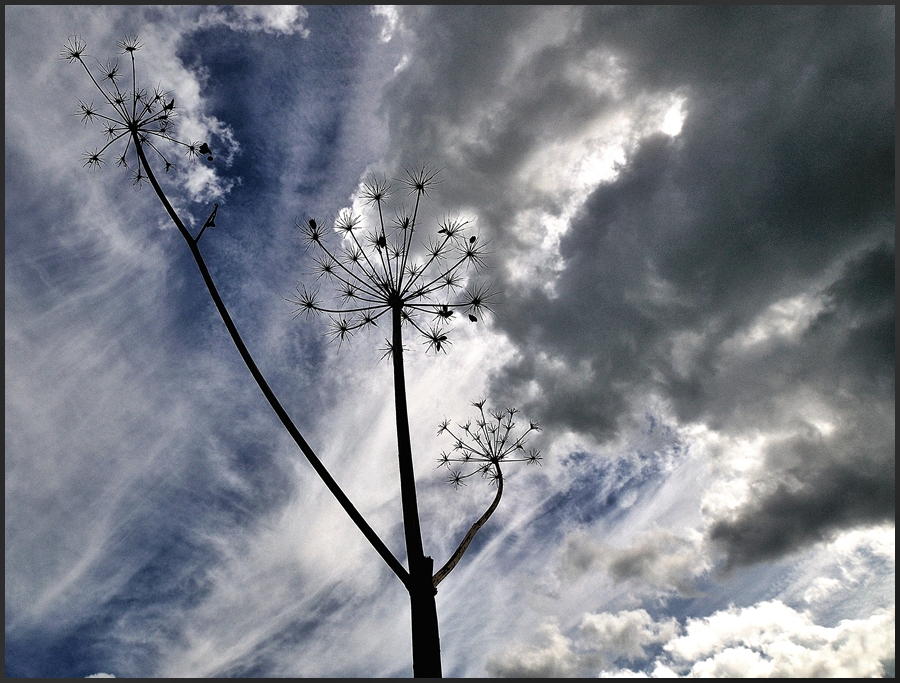 Im Wolkenlicht...