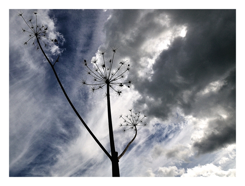 Im Wolkenlicht... I.