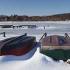 Im Würgegriff des Winters