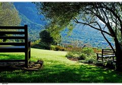 Im wunderschönen Botanischen Garten von Kirstenbosch.....