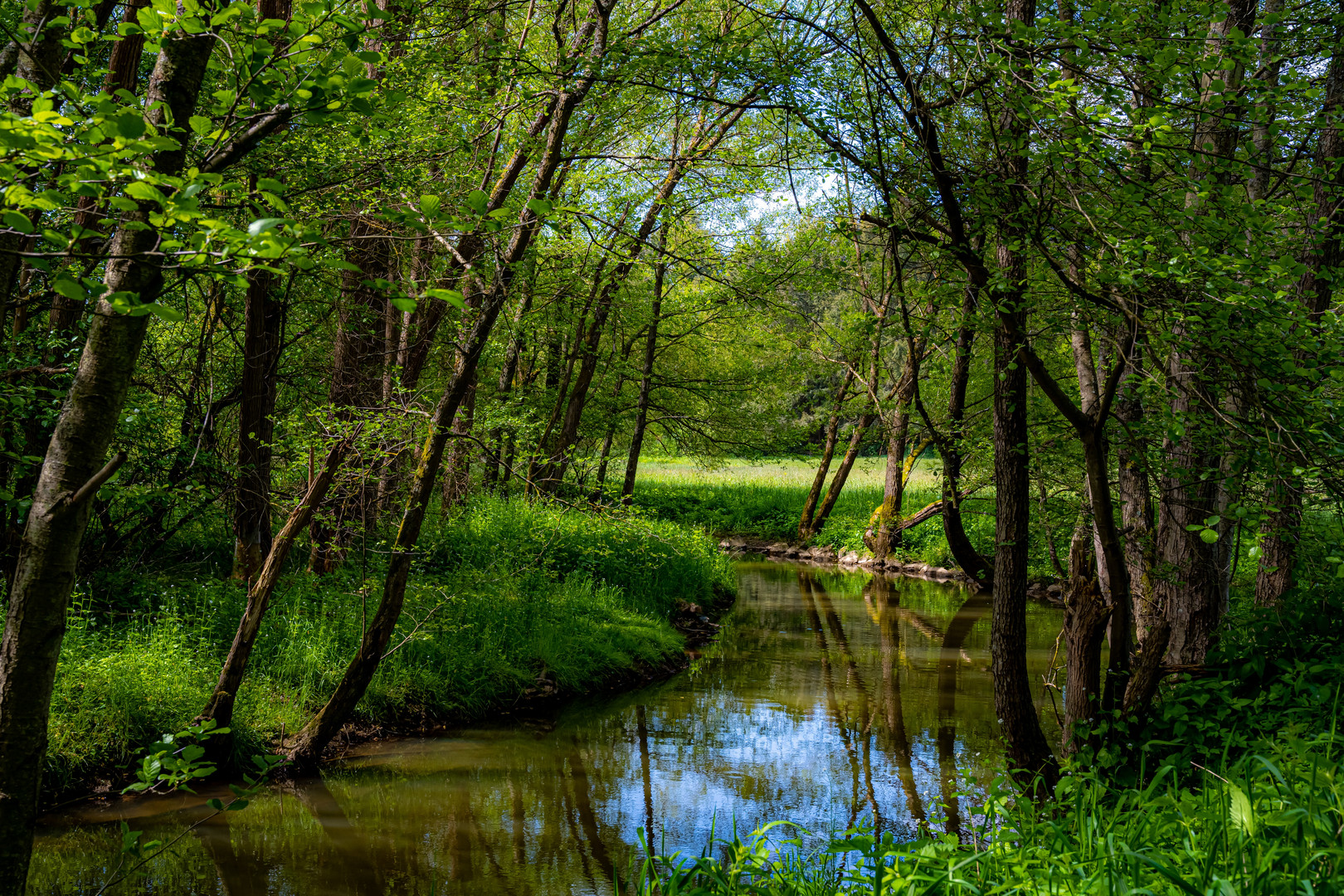 Im wunderschönen Monat Mai Foto & Bild | landschaft, jahreszeiten