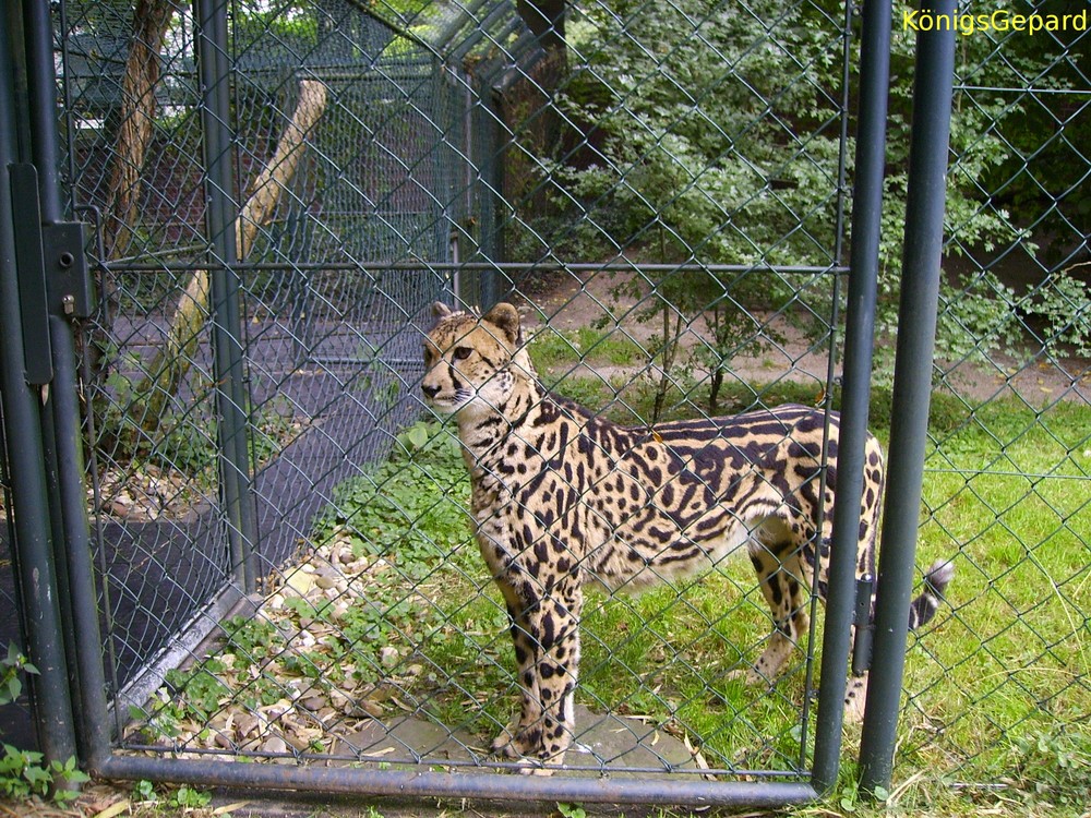 ...im Wuppertaler Zoo (3)