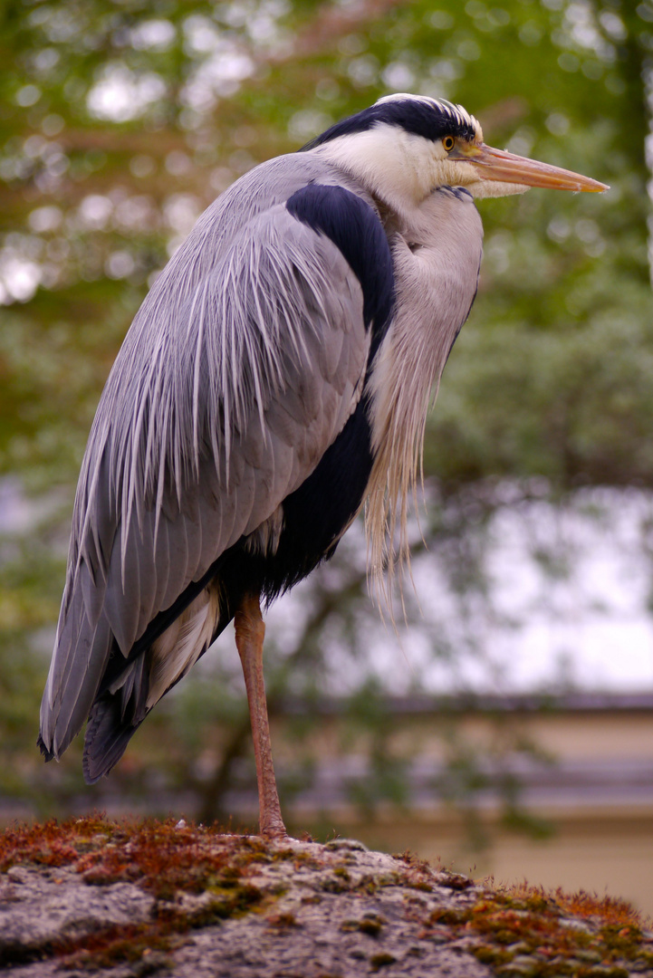 im Wuppertaler Zoo