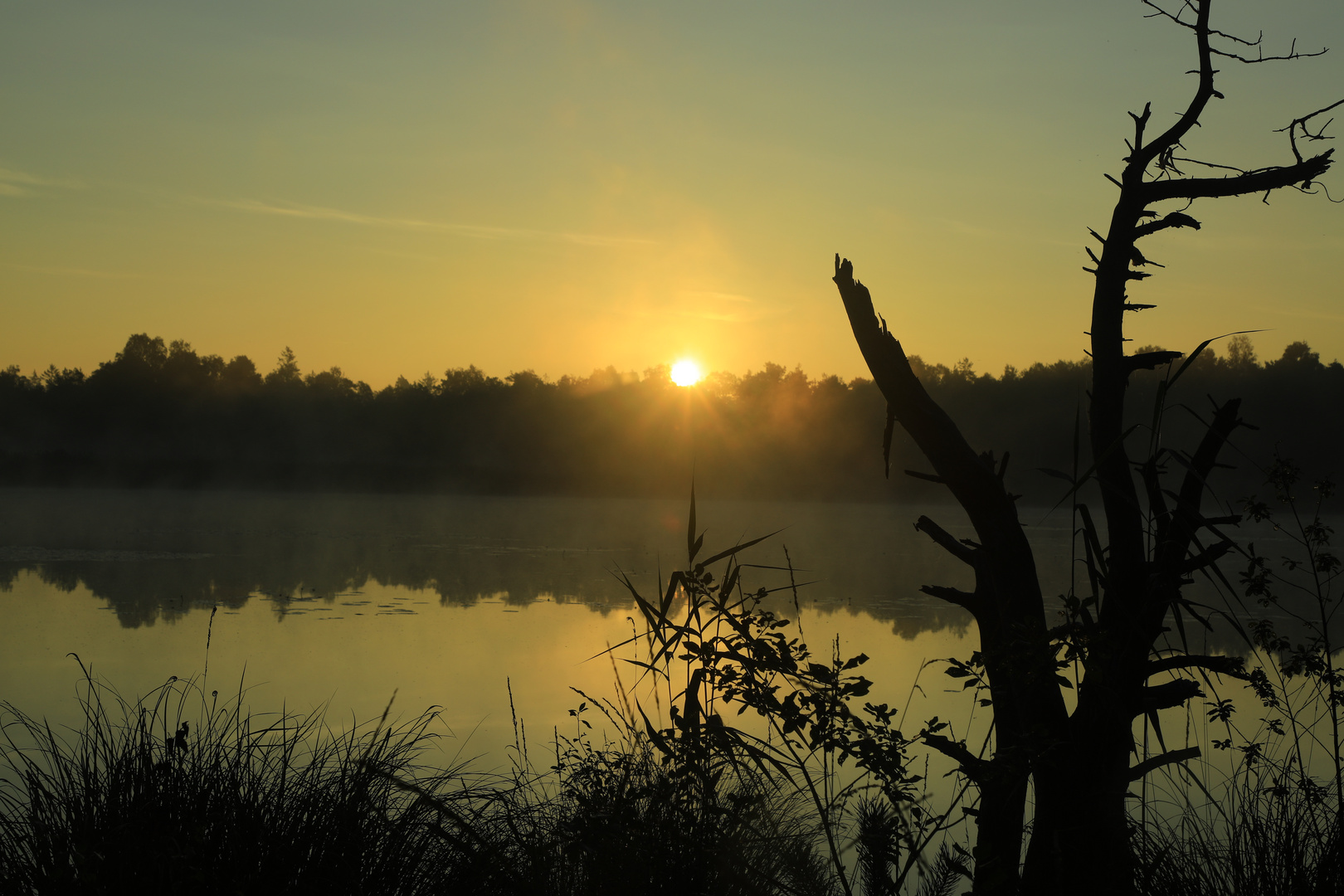 Im Wurzacher Ried unterwegs 