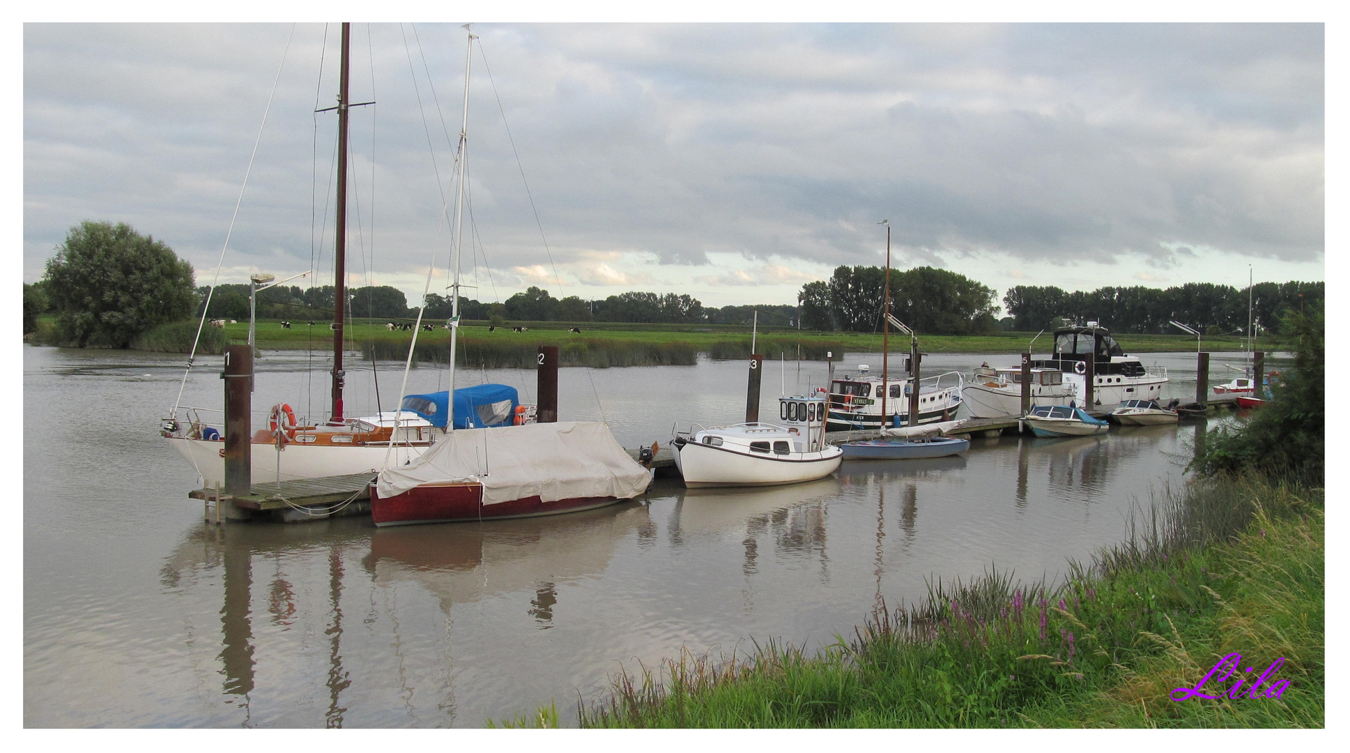 im Yachthafen Wischhafen ... Foto & Bild | urlaub, dokumentation ...