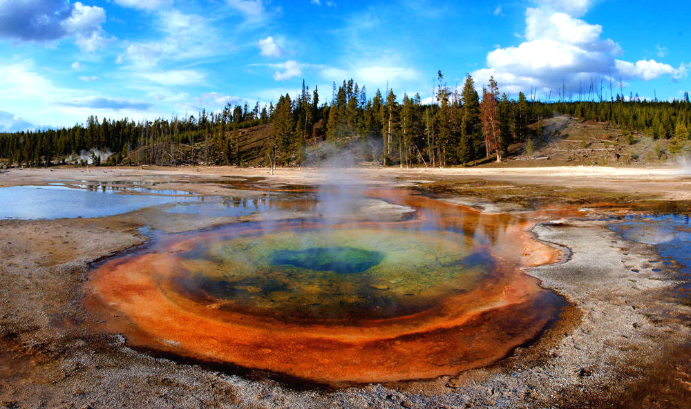 im Yellowstone National Park