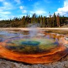 im Yellowstone National Park