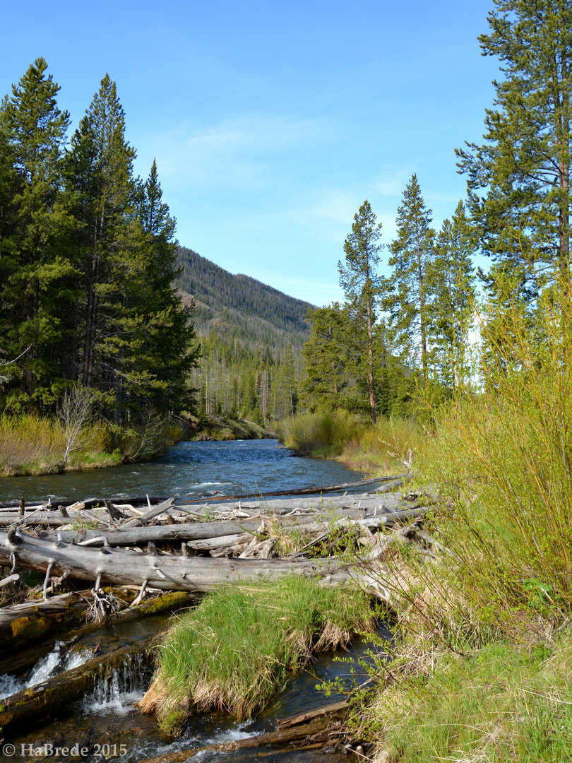 Im Yellowstone Nationalpark 002