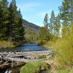 Im Yellowstone Nationalpark 002