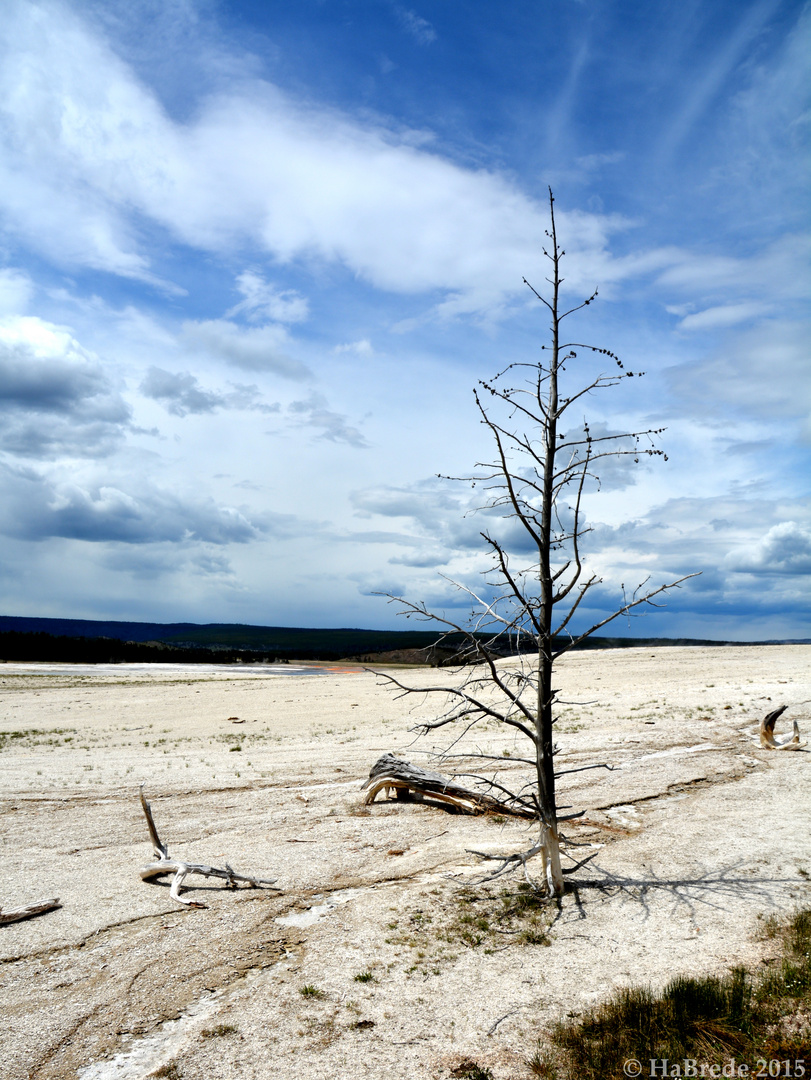 Im Yellowstone Nationalpark