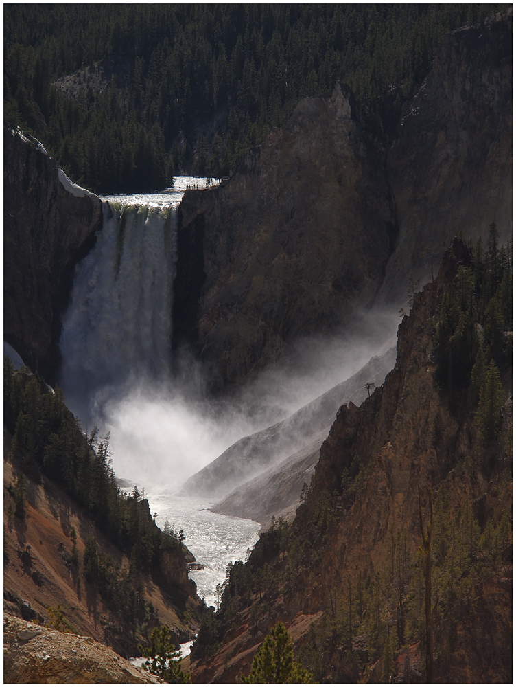 im Yellowstone NP