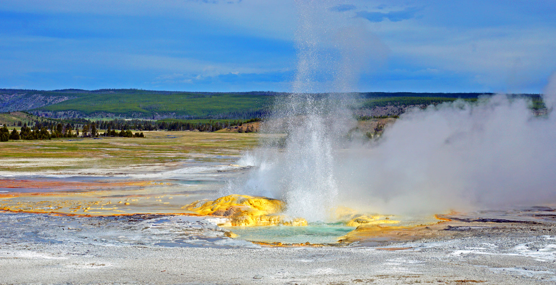 im Yellowstone NP