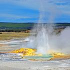 im Yellowstone NP