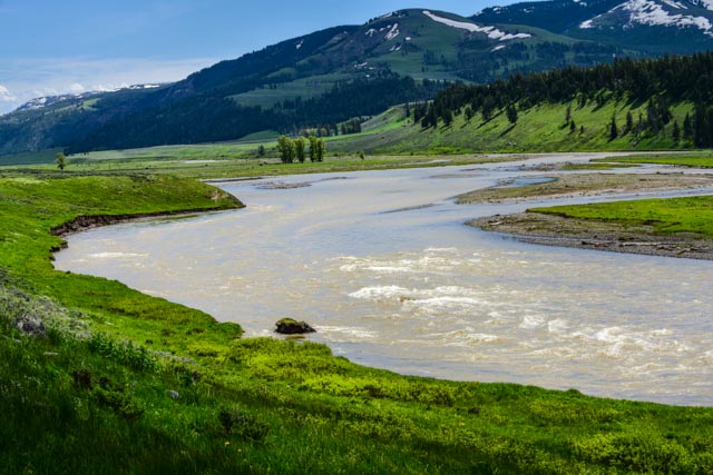 Im Yellowstone NP                                     DSC_4912-2