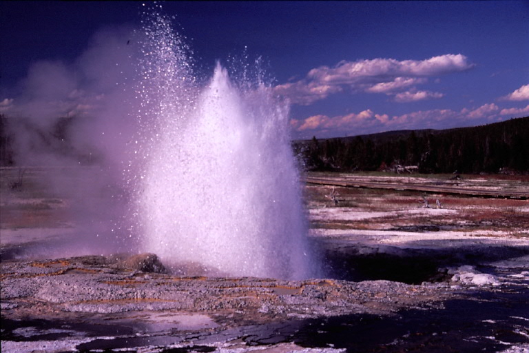 im Yellowstone Park 3