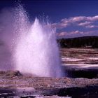 im Yellowstone Park 3